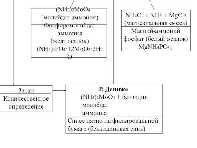 (NH3)2MoO4 (молибдат аммония) Фосфоромолибдат аммония (жёлт.осадок) (NH4)3PO4·12MoO3·2H2O NH4Cl + NH3 +