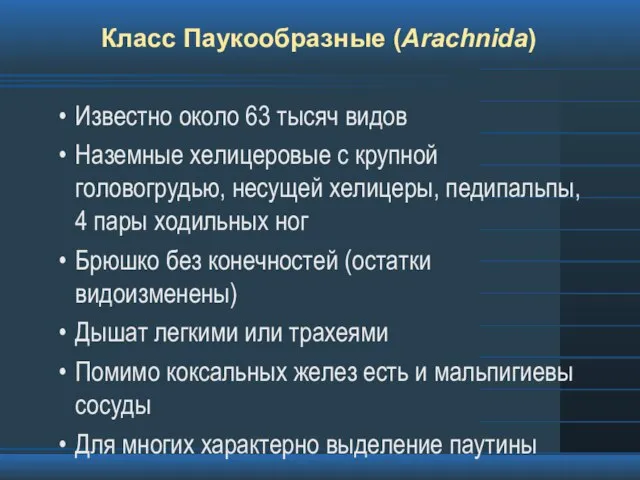 Класс Паукообразные (Arachnida) Известно около 63 тысяч видов Наземные хелицеровые с