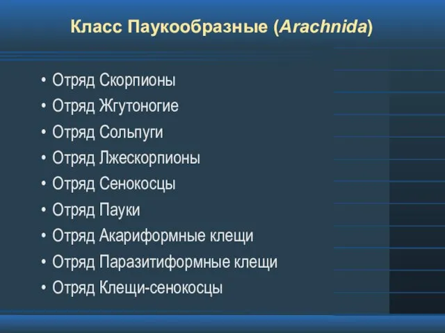 Класс Паукообразные (Arachnida) Отряд Скорпионы Отряд Жгутоногие Отряд Сольпуги Отряд Лжескорпионы