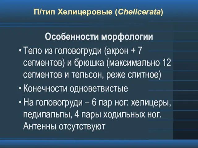 П/тип Хелицеровые (Chelicerata) Особенности морфологии Тело из головогруди (акрон + 7