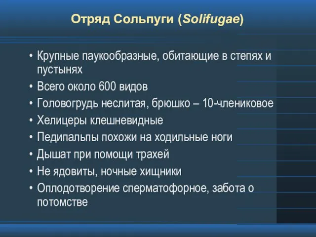 Отряд Сольпуги (Solifugae) Крупные паукообразные, обитающие в степях и пустынях Всего