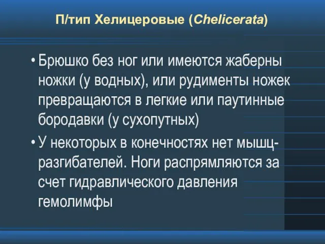 П/тип Хелицеровые (Chelicerata) Брюшко без ног или имеются жаберны ножки (у