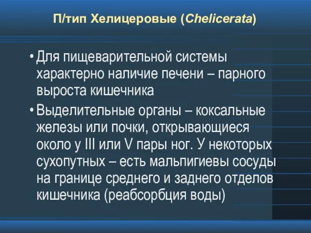 П/тип Хелицеровые (Chelicerata) Для пищеварительной системы характерно наличие печени – парного