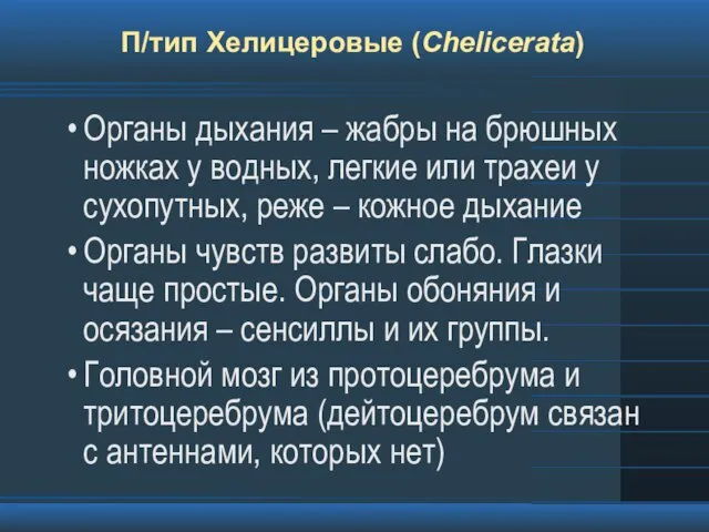 П/тип Хелицеровые (Chelicerata) Органы дыхания – жабры на брюшных ножках у