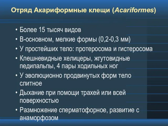 Отряд Акариформные клещи (Acariformes) Более 15 тысяч видов В-основном, мелкие формы