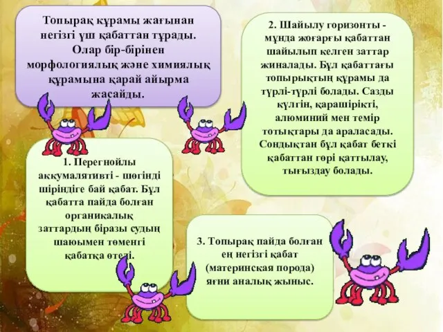 Топырақ кұрамы жағынан негізгі үш қабаттан тұрады. Олар бір-бірінен морфологиялық және