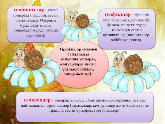 Тіршілік ортасымен байланысы бойынша топырақ жануарлары негізгі үш экологиялық топқа бөлінеді: