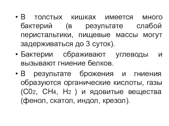 В толстых кишках имеется много бактерий (в результате слабой перистальтики, пищевые