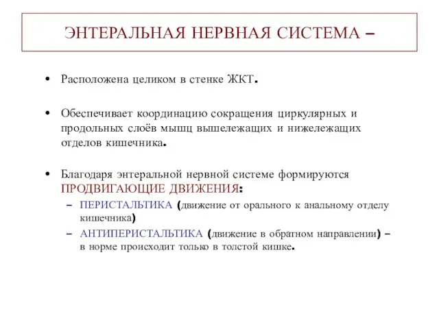 ЭНТЕРАЛЬНАЯ НЕРВНАЯ СИСТЕМА – Расположена целиком в стенке ЖКТ. Обеспечивает координацию