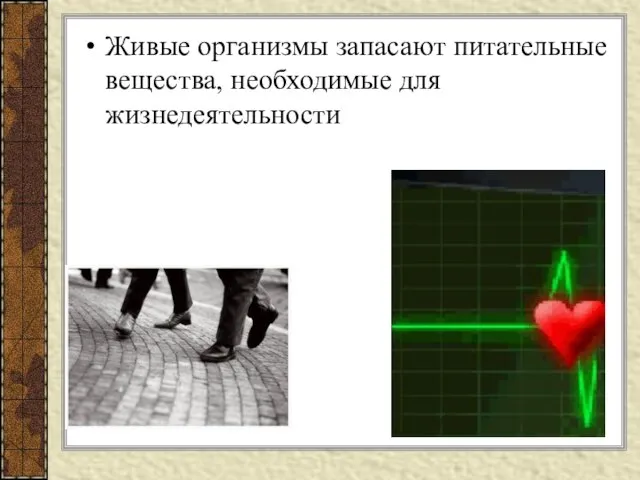 Живые организмы запасают питательные вещества, необходимые для жизнедеятельности