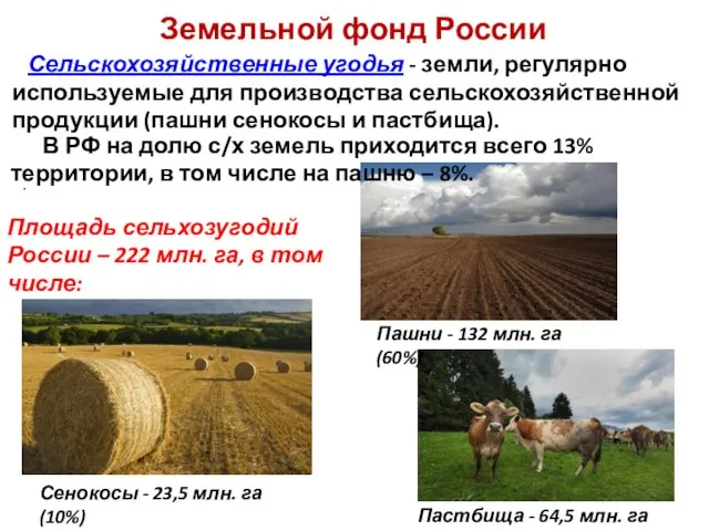 Земельной фонд России Площадь сельхозугодий России – 222 млн. га, в