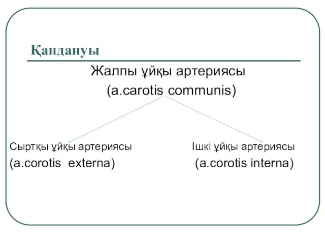 Қандануы Жалпы ұйқы артериясы (a.carotis communis) Сыртқы ұйқы артериясы Ішкі ұйқы артериясы (a.corotis externa) (a.corotis interna)