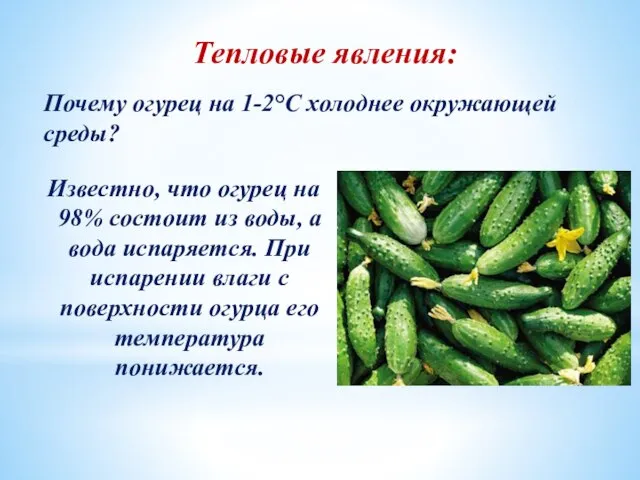 Тепловые явления: Почему огурец на 1-2°С холоднее окружающей среды? Известно, что