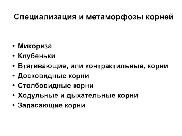 Специализация и метаморфозы корней Микориза Клубеньки Втягивающие, или контрактильные, корни Досковидные