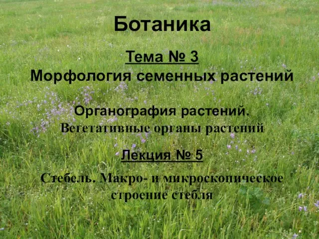 Ботаника Тема № 3 Морфология семенных растений Органография растений. Вегетативные органы