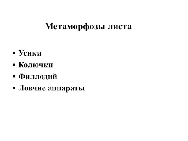 Метаморфозы листа Усики Колючки Филлодий Ловчие аппараты