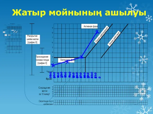 Жатыр мойнының ашылуы 09:00 10:00 11:00 12:00 13:00 14:00 15:00 16:00