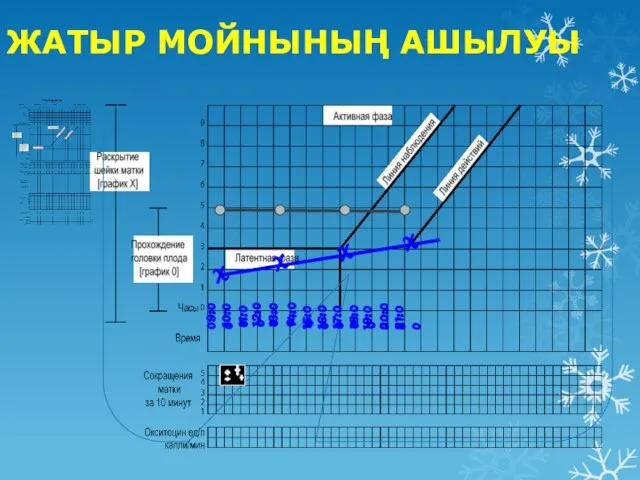 ЖАТЫР МОЙНЫНЫҢ АШЫЛУЫ 09:00 10:00 11:00 12:00 13:00 14:00 15:00 16:00