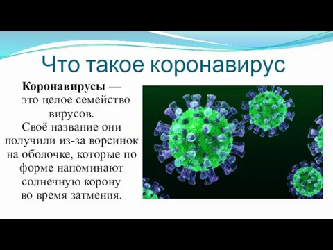 Что такое коронавирус Коронавирусы — это целое семейство вирусов. Своё название