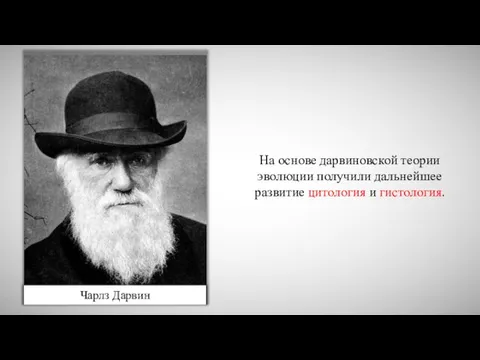 На основе дарвиновской теории эволюции получили дальнейшее развитие цитология и гистология. Чарлз Дарвин