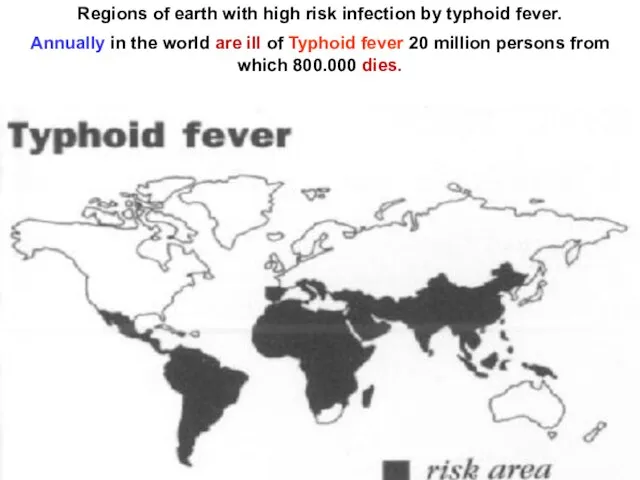 Regions of earth with high risk infection by typhoid fever. Annually