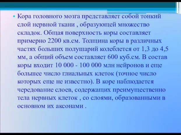 Кора головного мозга представляет собой тонкий слой нервной ткани , образующей