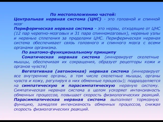 По местоположению частей: Центральная нервная система (ЦНС) - это головной и