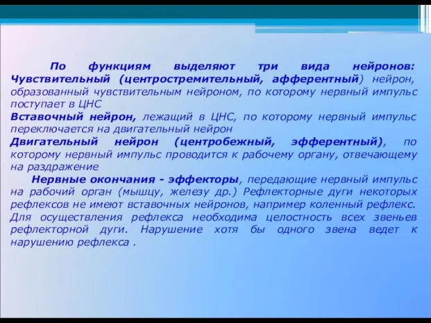 По функциям выделяют три вида нейронов: Чувствительный (центростремительный, афферентный) нейрон, образованный