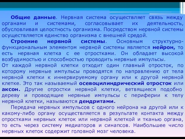 Общие данные. Нервная система осуществляет связь между органами и системами, согласовывает