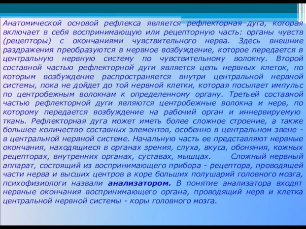 Анатомической основой рефлекса является рефлекторная дуга, которая включает в себя воспринимающую