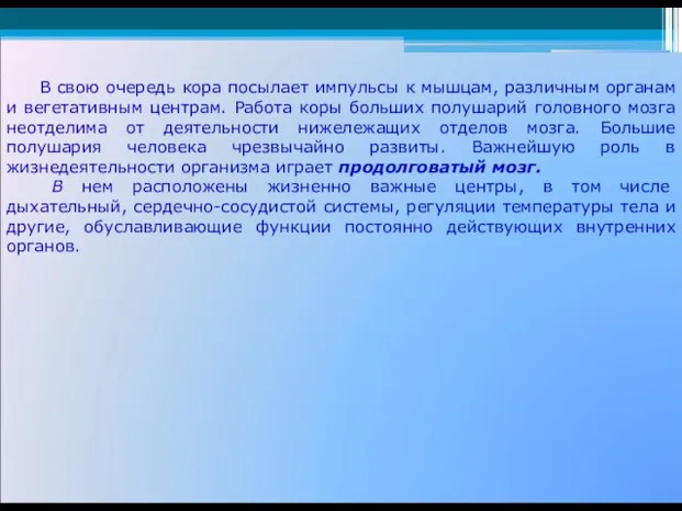 В свою очередь кора посылает импульсы к мышцам, различным органам и