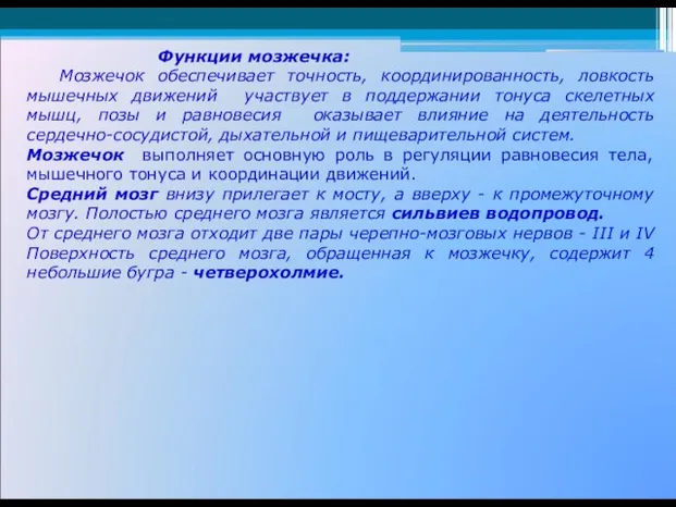 Функции мозжечка: Мозжечок обеспечивает точность, координированность, ловкость мышечных движений участвует в