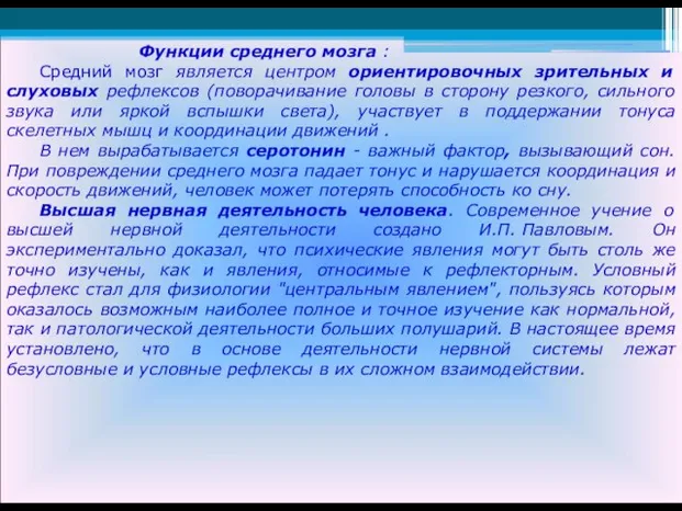 Функции среднего мозга : Средний мозг является центром ориентировочных зрительных и