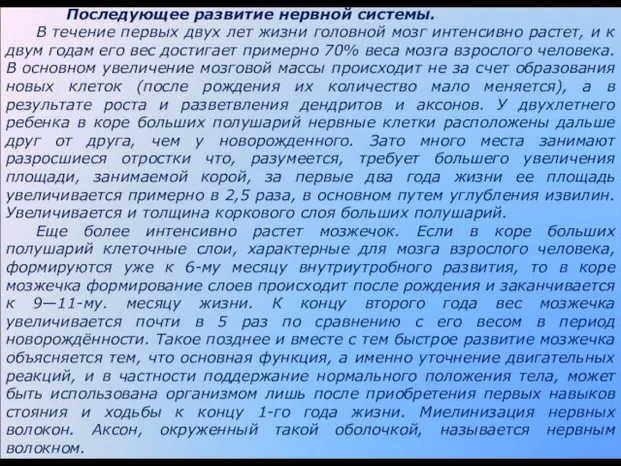 Последующее развитие нервной системы. В течение первых двух лет жизни головной