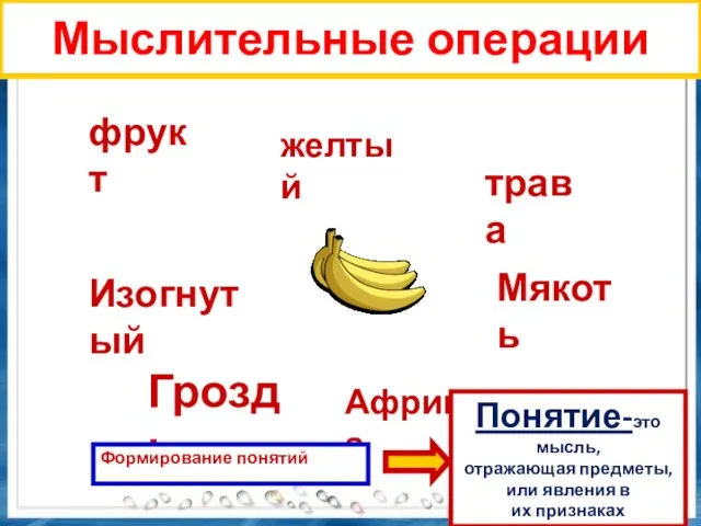 Мыслительные операции фрукт желтый трава Изогнутый Гроздь Африка Мякоть Формирование понятий