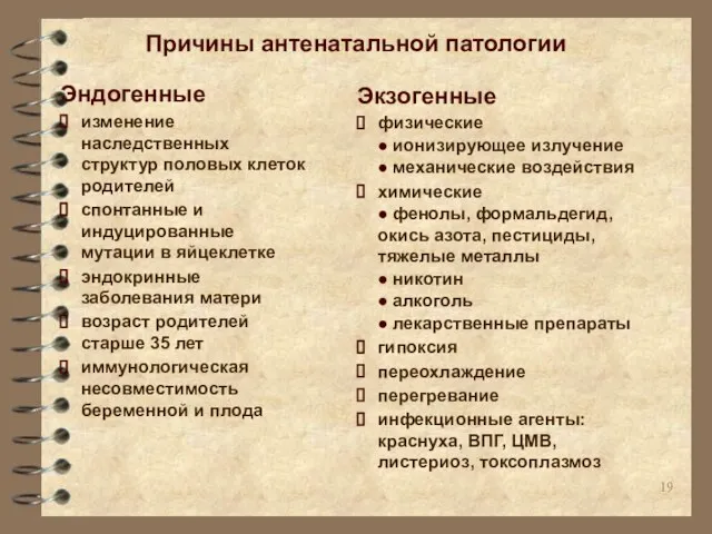 Причины антенатальной патологии Эндогенные изменение наследственных структур половых клеток родителей спонтанные