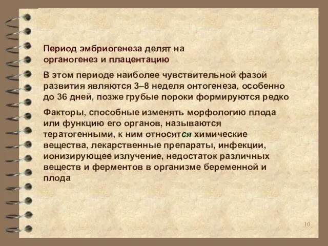 Период эмбриогенеза делят на органогенез и плацентацию В этом периоде наиболее