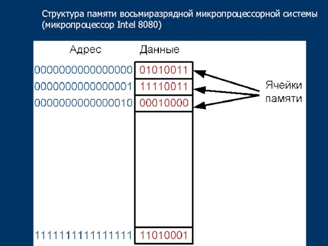 Структура памяти восьмиразрядной микропроцессорной системы (микропроцессор Intel 8080)