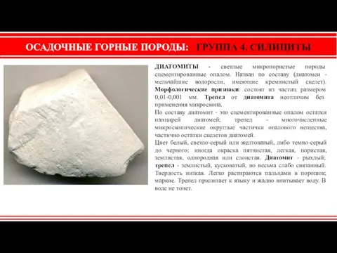 ОСАДОЧНЫЕ ГОРНЫЕ ПОРОДЫ: ГРУППА 4. СИЛИЦИТЫ ДИАТОМИТЫ - светлые микропористые породы