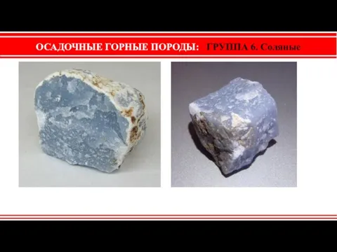 ОСАДОЧНЫЕ ГОРНЫЕ ПОРОДЫ: ГРУППА 6. Соляные