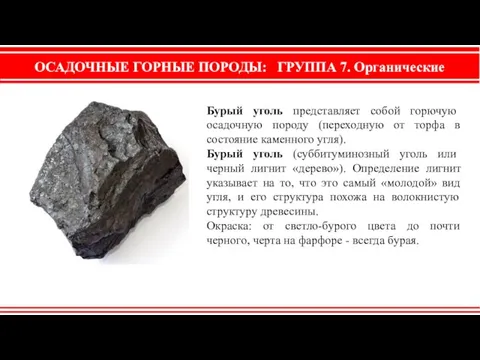 ОСАДОЧНЫЕ ГОРНЫЕ ПОРОДЫ: ГРУППА 7. Органические Бурый уголь представляет собой горючую