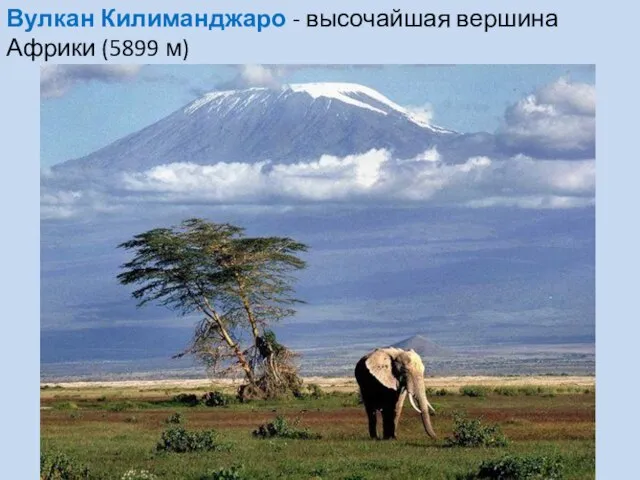 Вулкан Килиманджаро - высочайшая вершина Африки (5899 м)