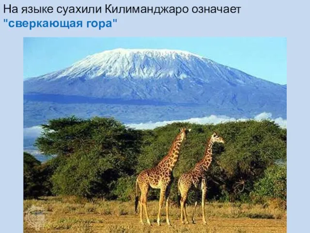 На языке суахили Килиманджаро означает "сверкающая гора"