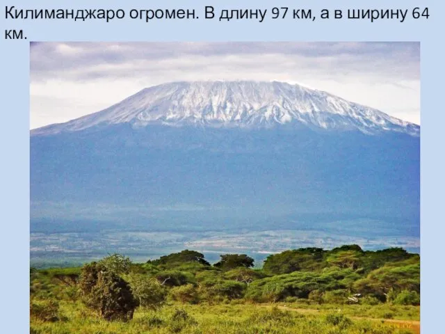 Килиманджаро огромен. В длину 97 км, а в ширину 64 км.