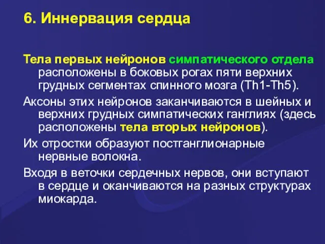 6. Иннервация сердца Тела первых нейронов симпатического отдела расположены в боковых