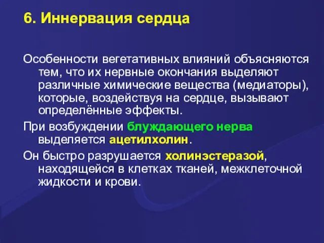 6. Иннервация сердца Особенности вегетативных влияний объясняются тем, что их нервные