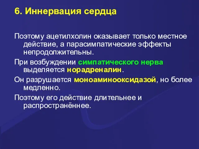 6. Иннервация сердца Поэтому ацетилхолин оказывает только местное действие, а парасимпатические