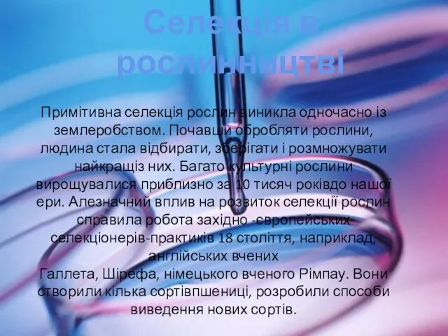 Селекція в рослинництві Примітивна селекція рослин виникла одночасно із землеробством. Почавши