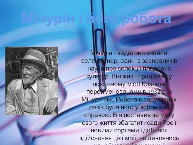 Мічурін і його робота Мічурін - видатний вчений-селекціонер, один із засновників