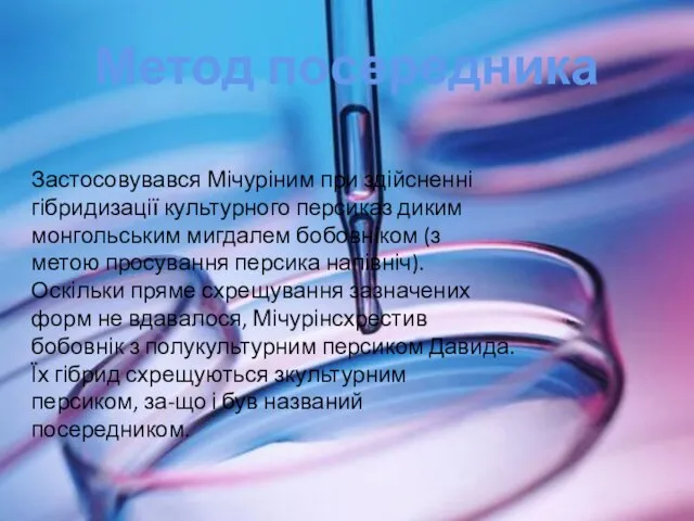 Метод посередника Застосовувався Мічуріним при здійсненні гібридизації культурного персиказ диким монгольським